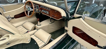 Morgan Plus 8 LHD Roadster 4.6 V8 Rover British racing green 1998 Fotos